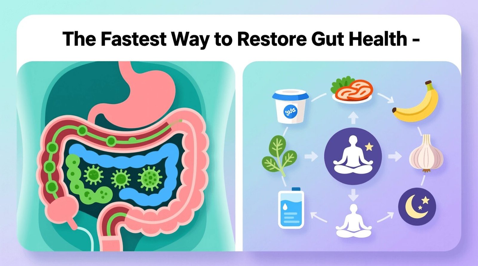 Gut Health